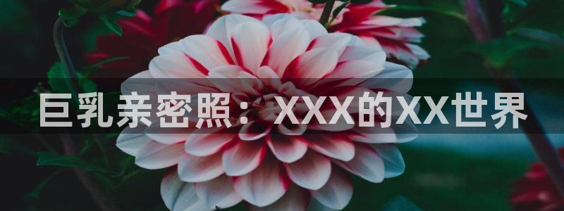 歪歪汗汗漫画网站