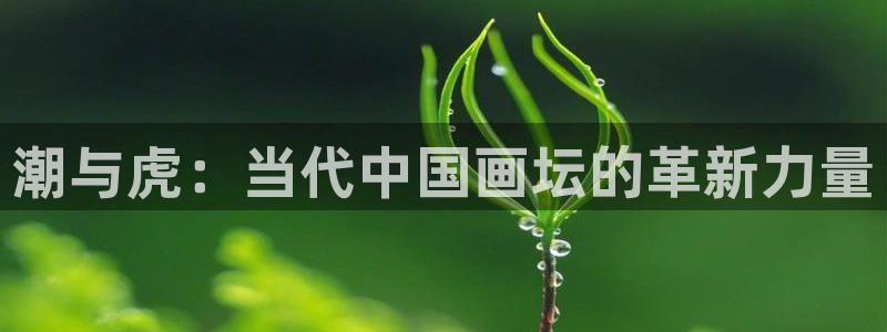 羞羞漫画汗汗漫画入口：潮与虎：当代中国画坛的革新力量