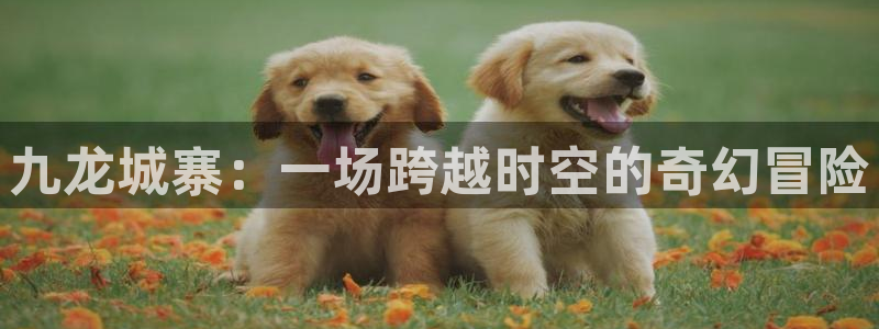 汗汗漫画韩国：九龙城寨：一场跨越时空的奇幻冒险