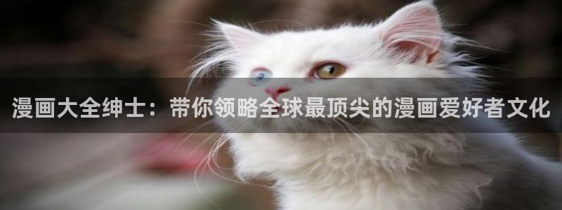 歪歪汗汗漫画网站