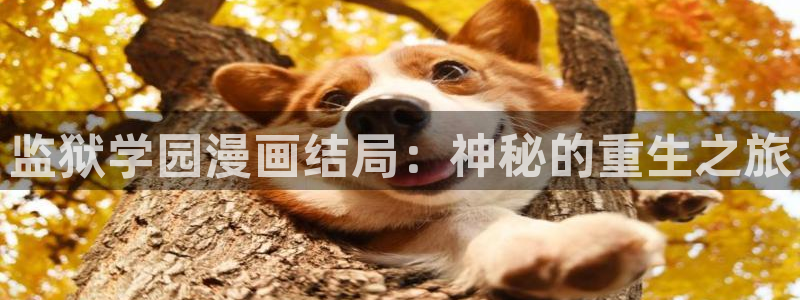 yy汗汗漫画在线观看