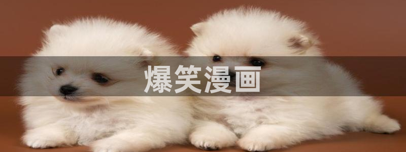 羞羞漫画歪歪汗汗漫画