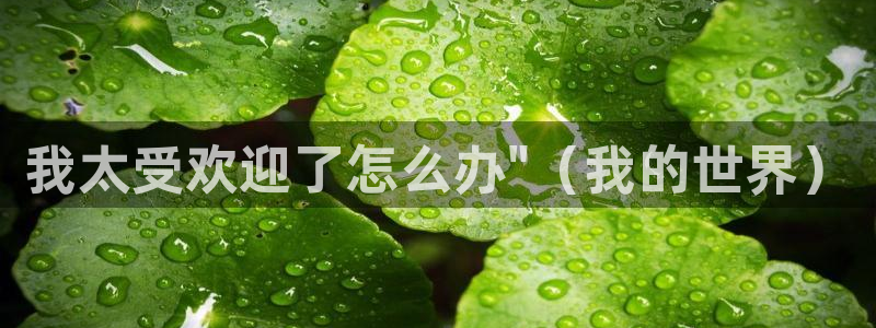 汗汗漫画书