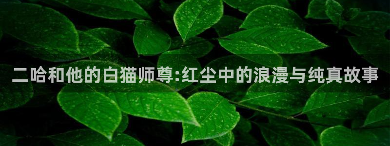 羞羞漫画～汗汗漫画av在线观看