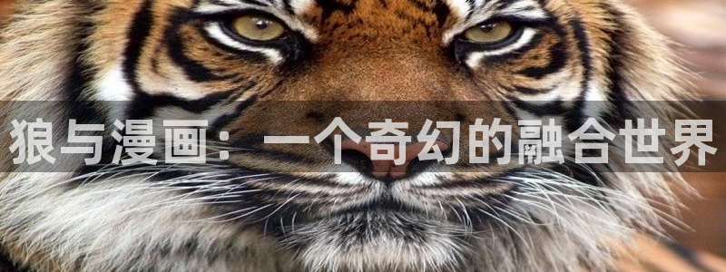 新汗汗漫画