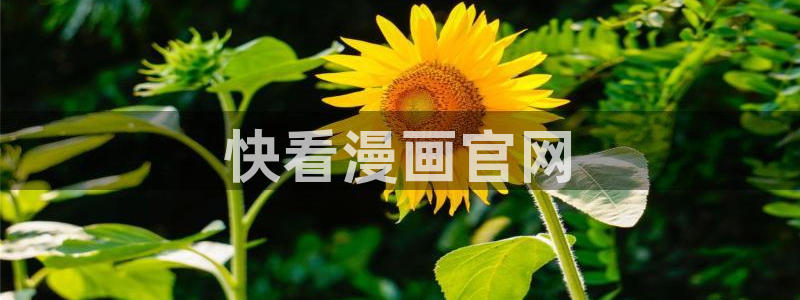 为什么汗汗漫画一直在读取中