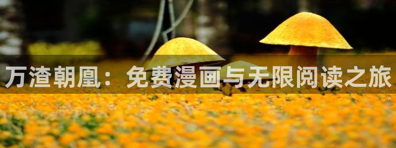 汗汗漫画免费登录页面看漫画免费